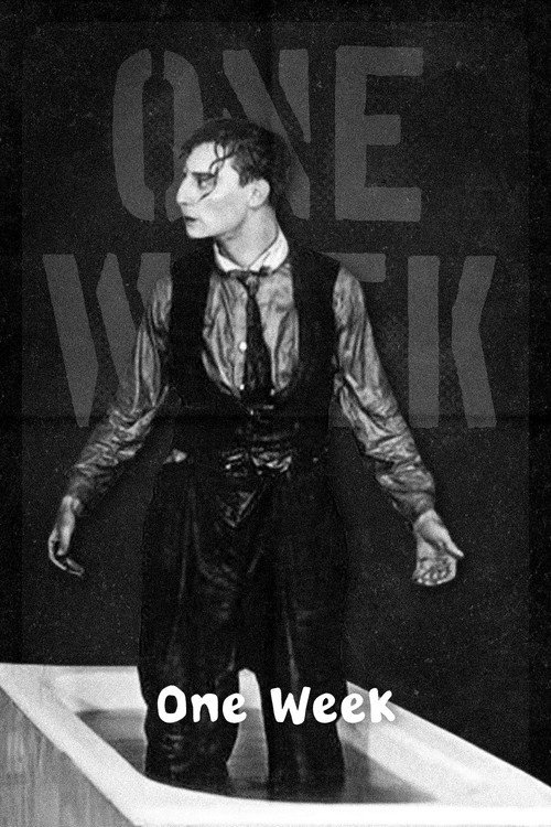 Póster de One Week