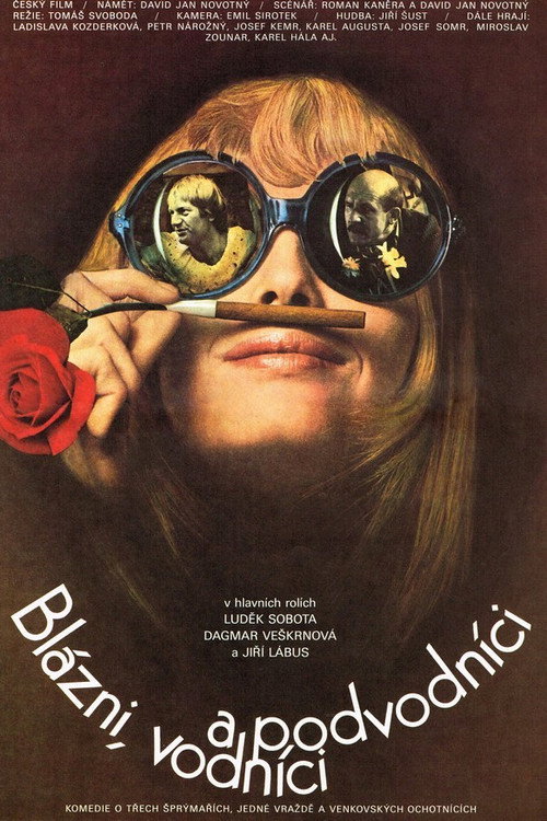 Póster de Blázni, vodníci a podvodníci