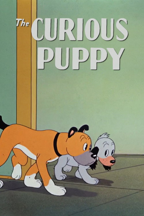 Póster de The Curious Puppy