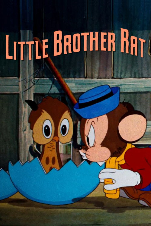 Póster de Little Brother Rat