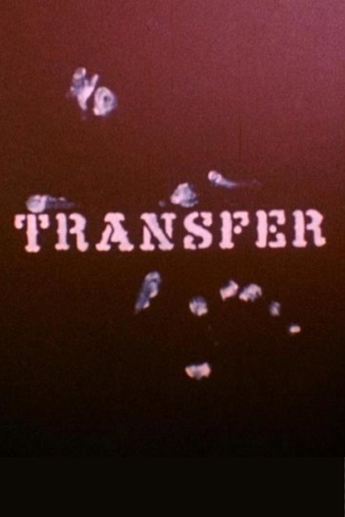 Locandina di Transfer