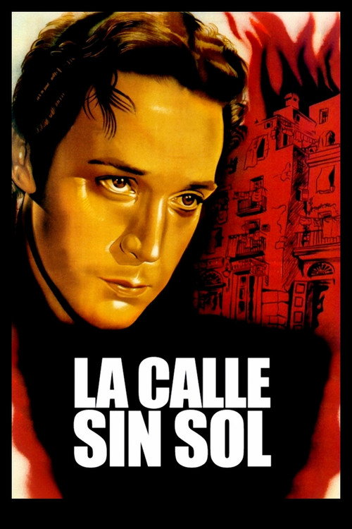 Póster de La calle sin sol