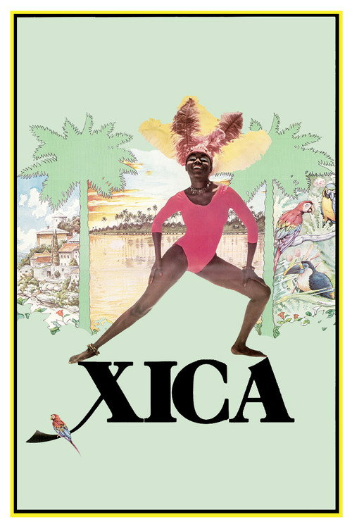 Póster de Xica