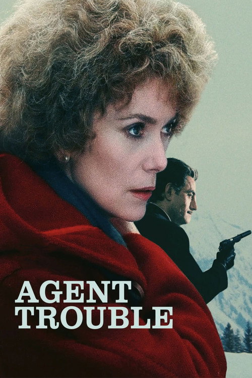 Póster de Agent trouble