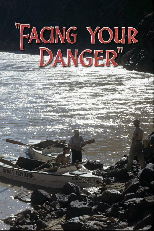 Póster de Facing Your Danger