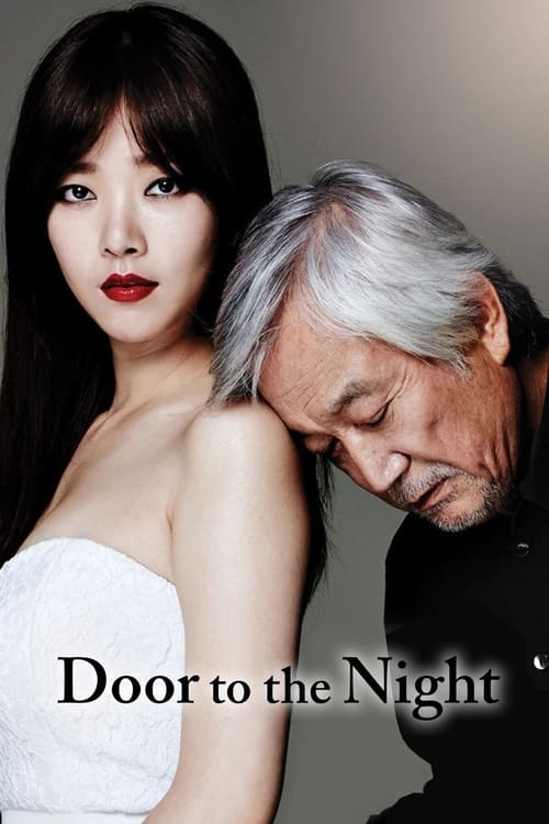 Póster de Door to the Night