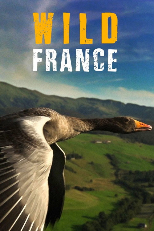 Póster de Wild France