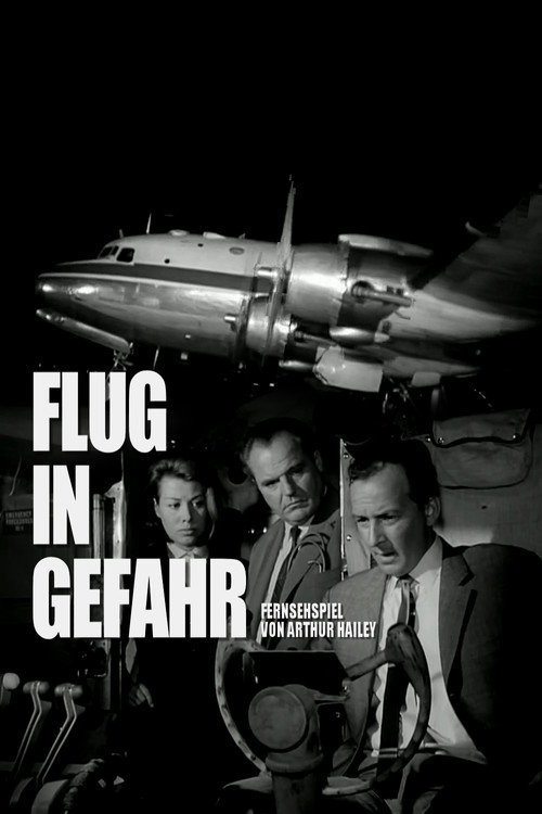 Póster de Flight in Danger