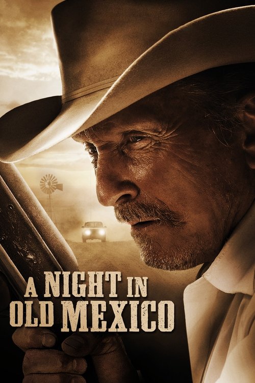 Locandina di A Night in Old Mexico