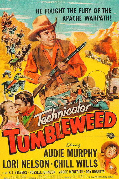 Póster de Tumbleweed