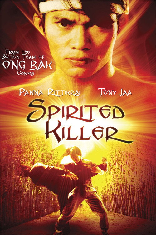 Póster de Spirited Killer