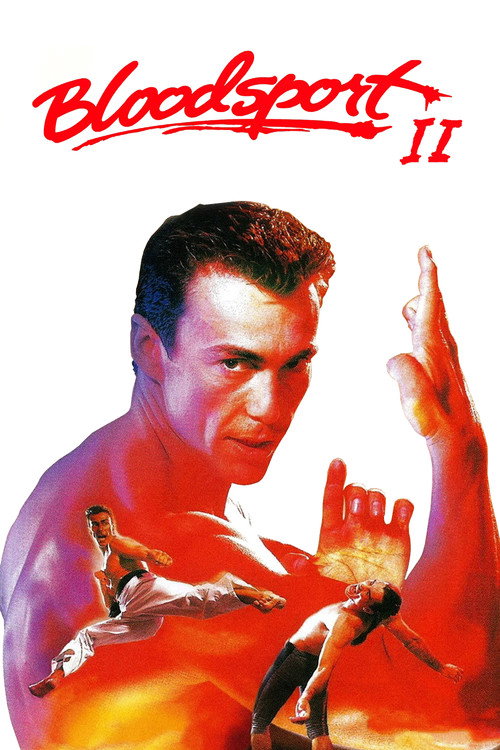 Póster de Bloodsport II