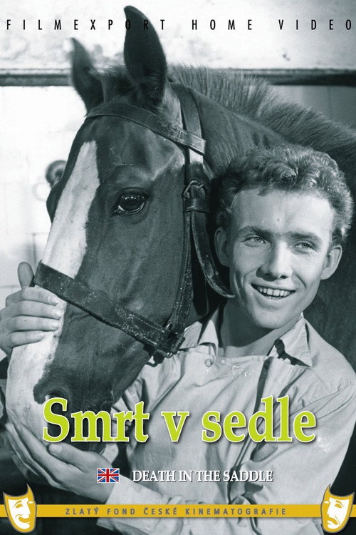 Póster de Death in the Saddle
