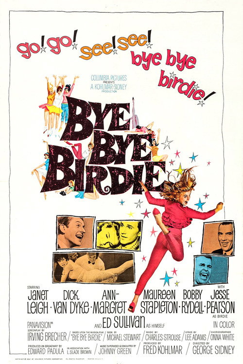 Póster de Bye Bye Birdie