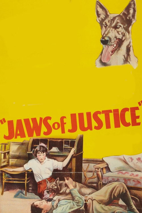 Póster de Jaws of Justice