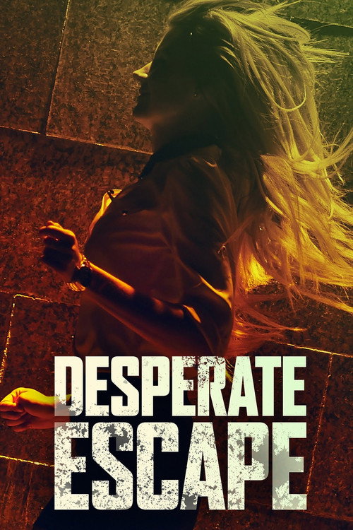 Póster de Desperate Escape