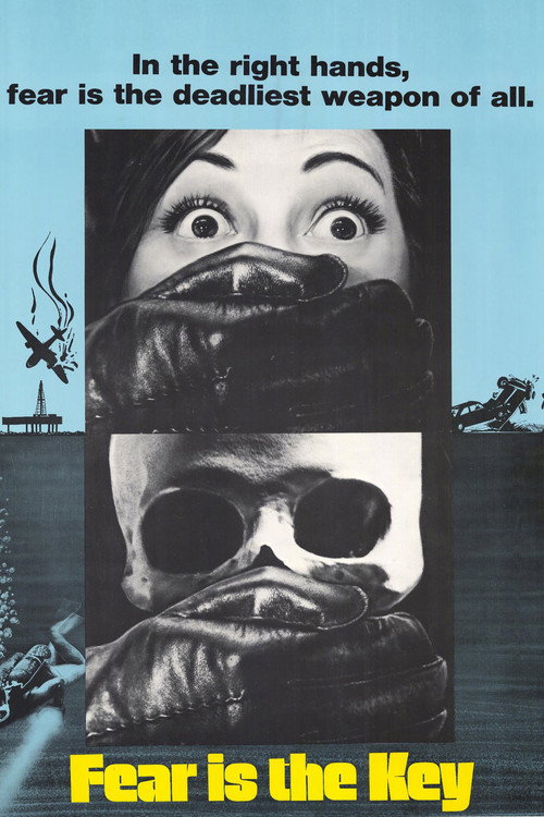 Póster de Fear Is the Key