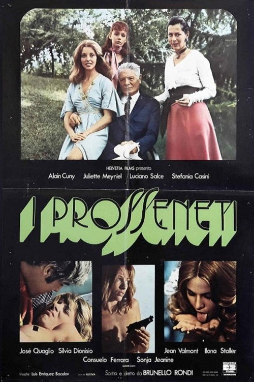 Póster de Los proxenetas