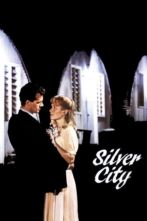 Póster de Silver City