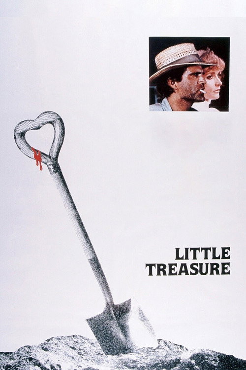Póster de Little Treasure