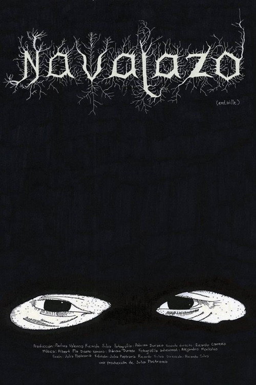 Poster von Navajazo