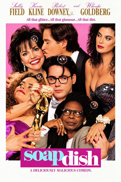 Póster de Soapdish