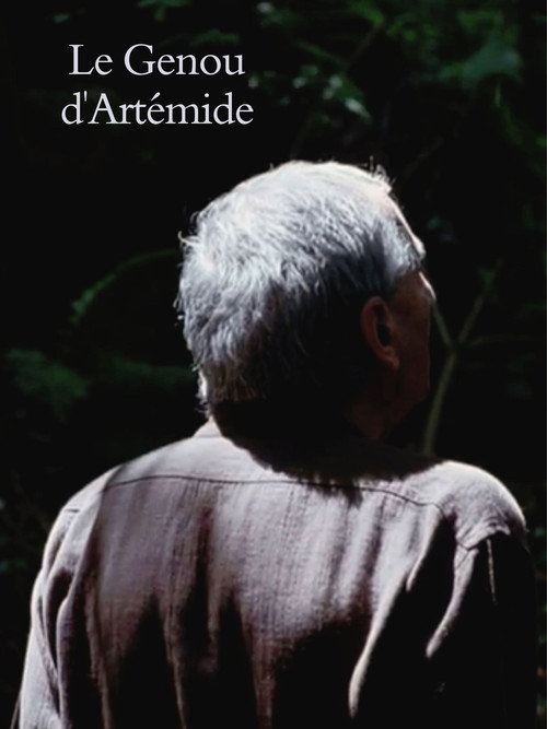 Póster de Artemide’s Knee