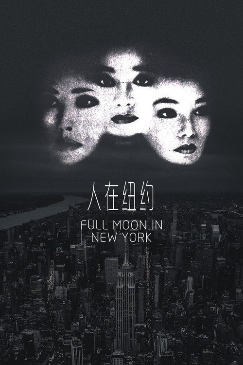 Póster de Full Moon in New York