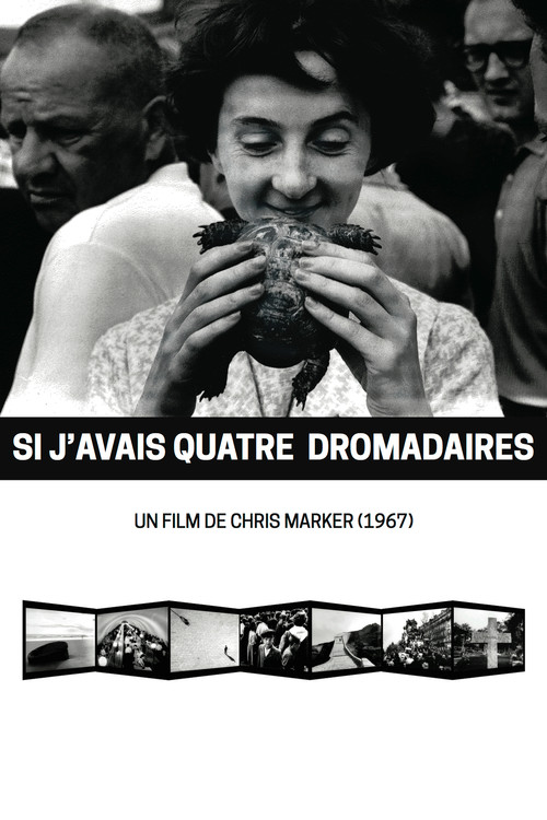 Póster de If I Had Four Dromedaries
