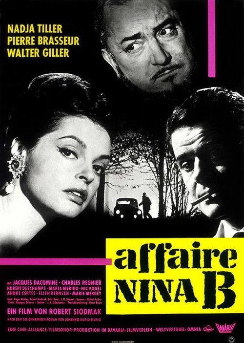 Póster de The Nina B. Affair