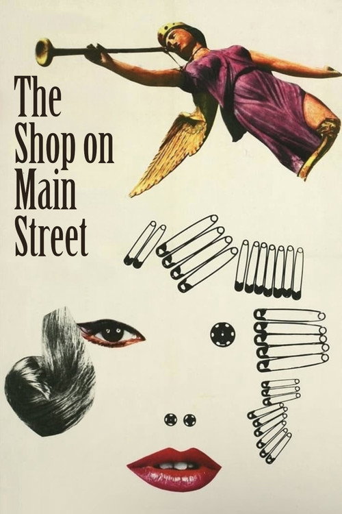 Póster de The Shop on Main Street