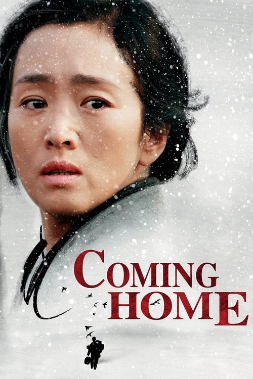 Póster de Coming Home