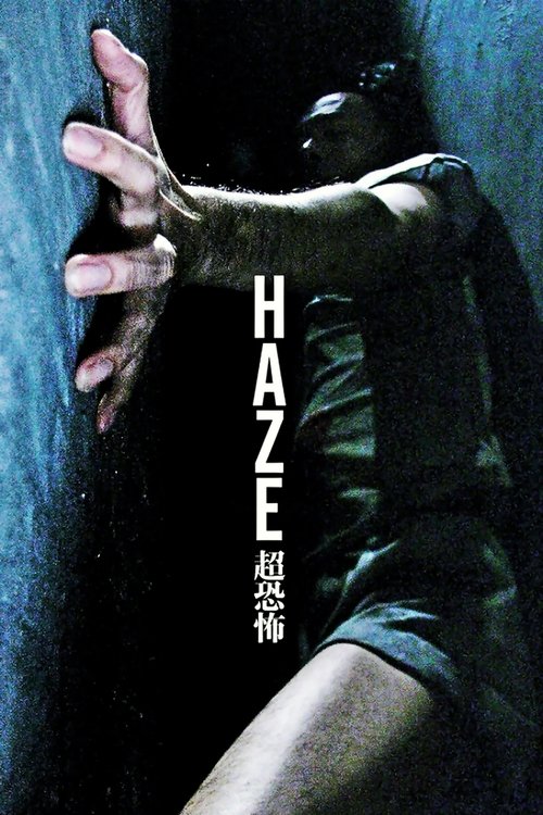 Póster de Haze
