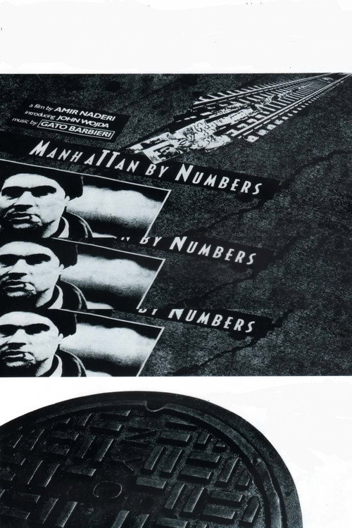 Póster de Manhattan by Numbers