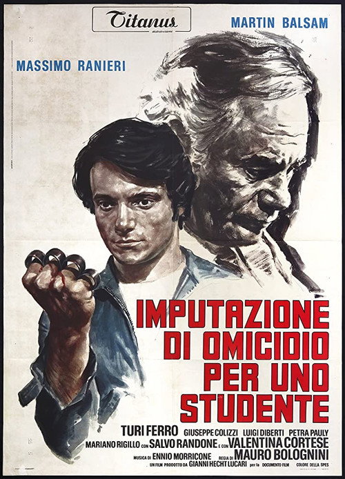 Póster de Chronicle of a Homicide