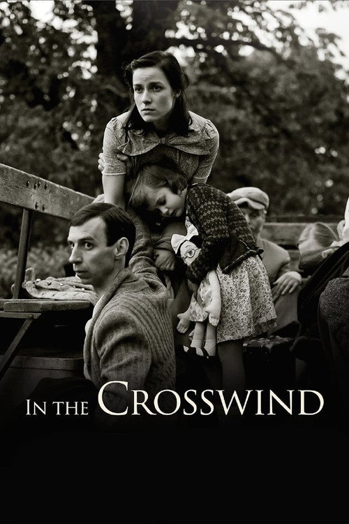 Póster de In the Crosswind