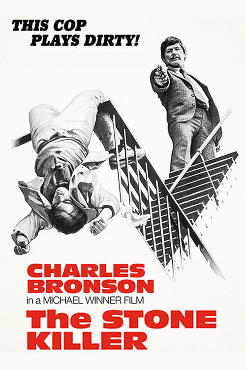 Póster de The Stone Killer