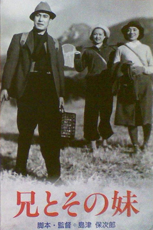 Póster de A Brother and His Younger Sister
