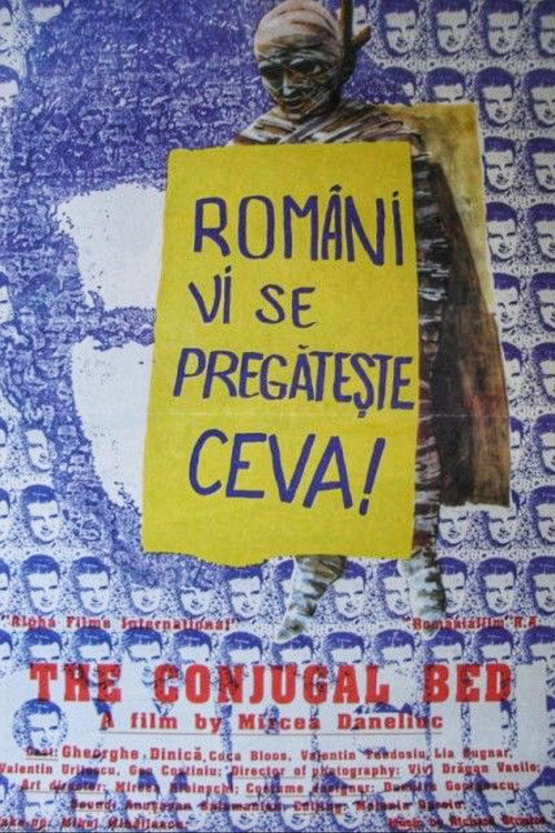 Pôster de The Conjugal Bed