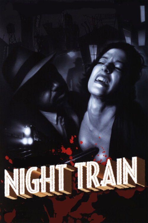 Póster de Night Train