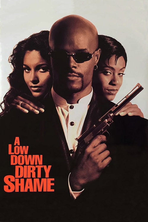 Póster de A Low Down Dirty Shame