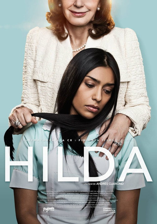 Póster de Nunca he tenido una Hilda