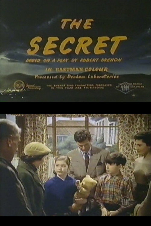 Póster de The Secret