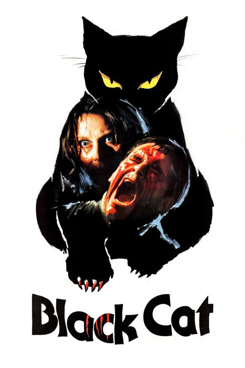 Póster de The Black Cat