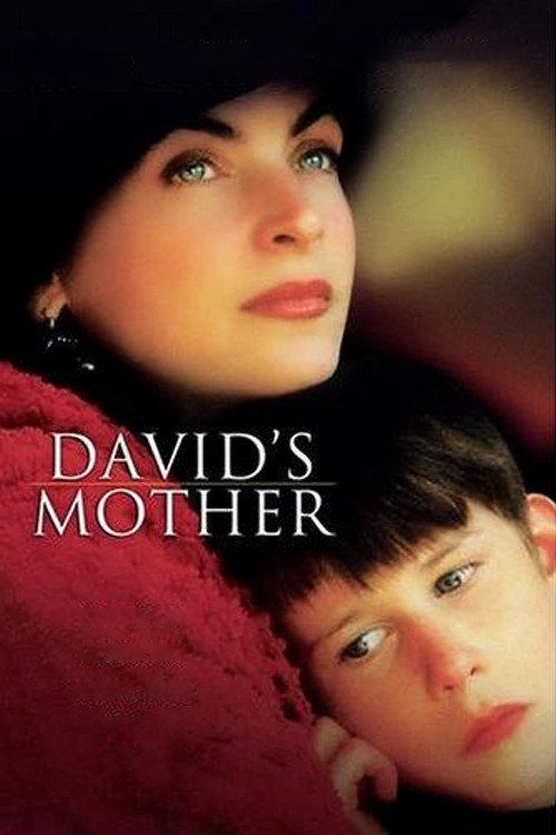 Póster de David's Mother