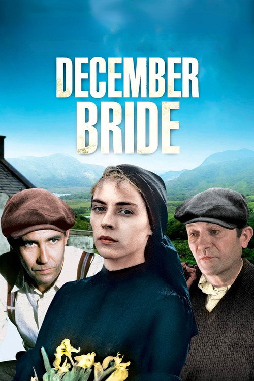 Póster de December Bride