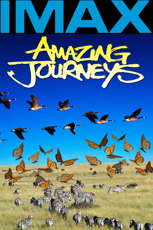 Póster de Amazing Journeys