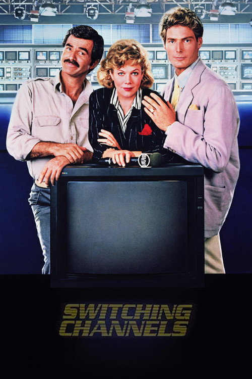 Póster de Switching Channels