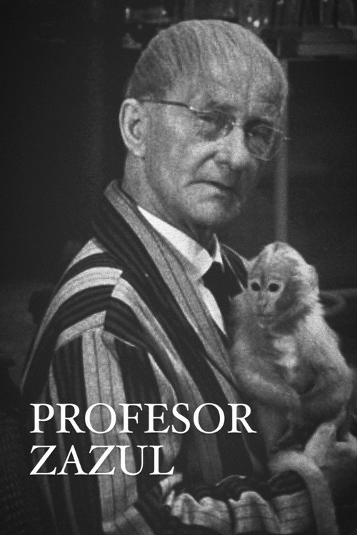 Póster de Profesor Zazul