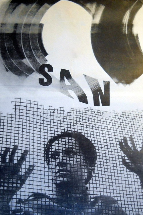 Póster de The Dream